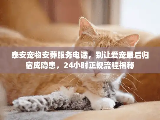 泰安宠物安葬服务电话，别让爱宠最后归宿成隐患，24小时正规流程揭秘