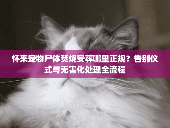 怀来宠物尸体焚烧安葬哪里正规？告别仪式与无害化处理全流程