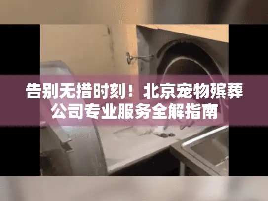 告别无措时刻！北京宠物殡葬公司专业服务全解指南