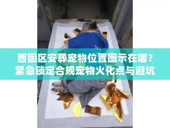 西固区安葬宠物位置图示在哪？紧急锁定合规宠物火化点与避坑
