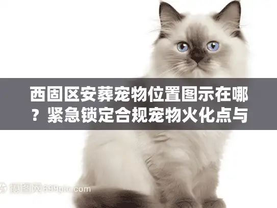 西固区安葬宠物位置图示在哪？紧急锁定合规宠物火化点与避坑