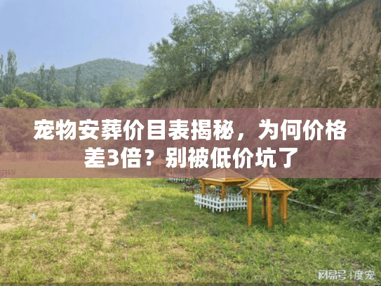 宠物安葬价目表揭秘，为何价格差3倍？别被低价坑了