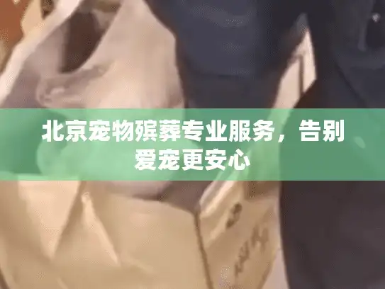 北京宠物殡葬专业服务,告别爱宠更安心 北京宠物殡葬专业服务,告别爱宠更安心