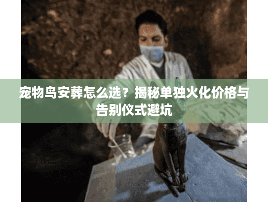 宠物鸟安葬怎么选?揭秘单独火化价格与告别仪式避坑 宠物鸟安葬怎么选?揭秘单独火化价格与告别仪式避坑
