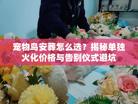 宠物鸟安葬怎么选?揭秘单独火化价格与告别仪式避坑 宠物鸟安葬怎么选?揭秘单独火化价格与告别仪式避坑