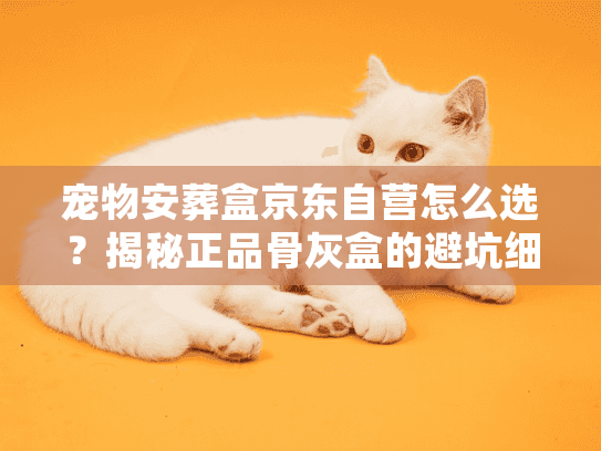 宠物安葬盒京东自营怎么选？揭秘正品骨灰盒的避坑细节与材质门道