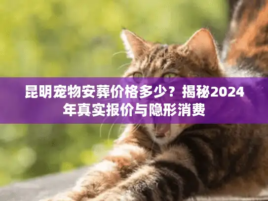 昆明宠物安葬价格多少？揭秘2024年真实报价与隐形消费