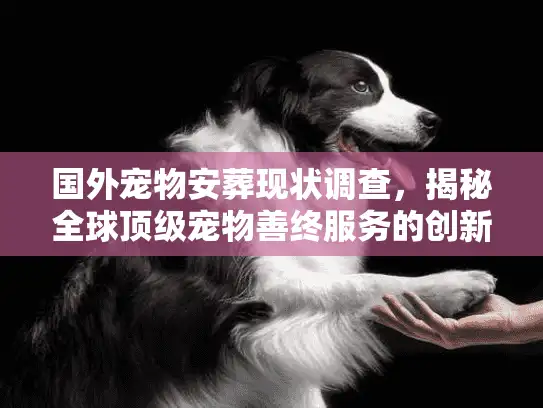 国外宠物安葬现状调查，揭秘全球顶级宠物善终服务的创新趋势