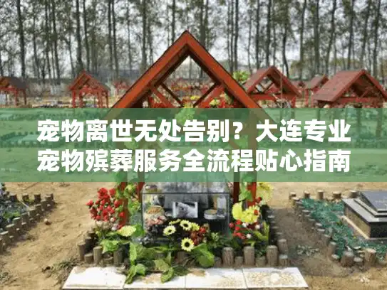 宠物离世无处告别?大连专业宠物殡葬服务全流程贴心指南 宠物离世无处告别?大连专业宠物殡葬服务全流程贴心指南