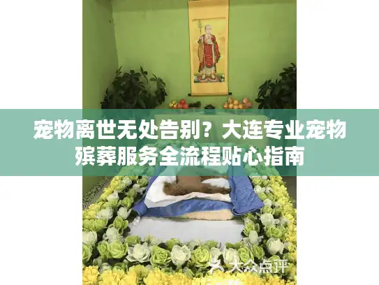 宠物离世无处告别?大连专业宠物殡葬服务全流程贴心指南 宠物离世无处告别?大连专业宠物殡葬服务全流程贴心指南