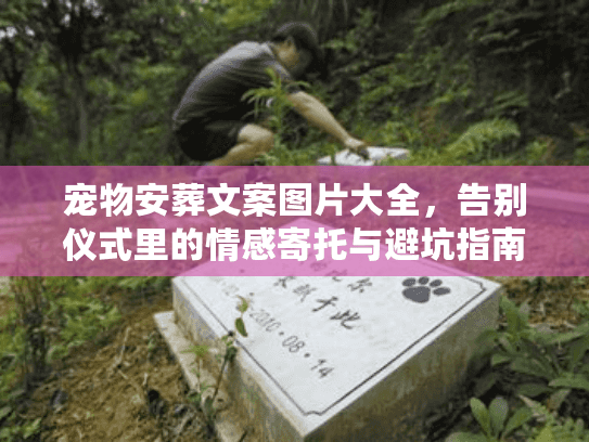 宠物安葬文案图片大全，告别仪式里的情感寄托与避坑指南