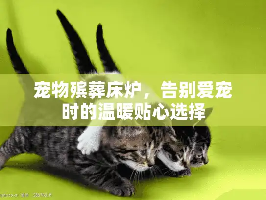 宠物殡葬床炉，告别爱宠时的温暖贴心选择