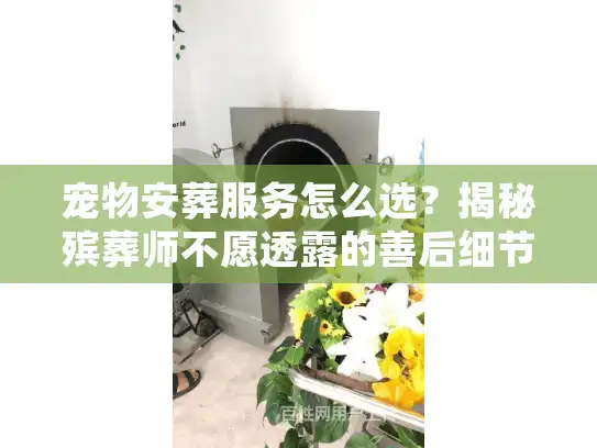 宠物安葬服务怎么选？揭秘殡葬师不愿透露的善后细节