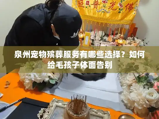 泉州宠物殡葬服务有哪些选择？如何给毛孩子体面告别