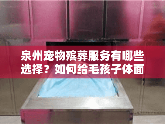 泉州宠物殡葬服务有哪些选择？如何给毛孩子体面告别