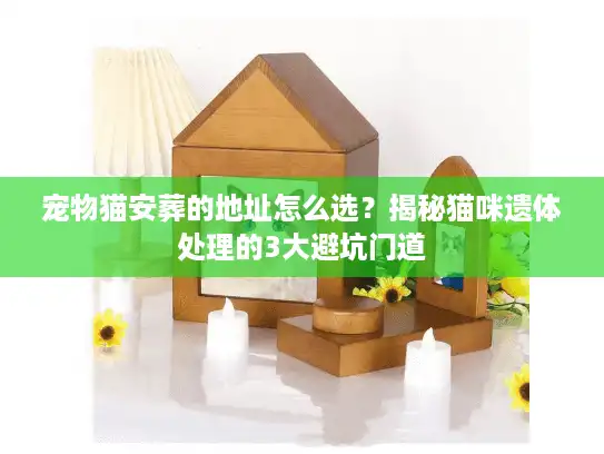 宠物猫安葬的地址怎么选？揭秘猫咪遗体处理的3大避坑门道
