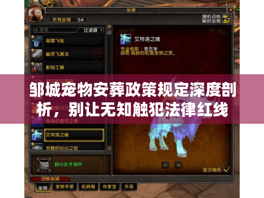 邹城宠物安葬政策规定深度剖析，别让无知触犯法律红线