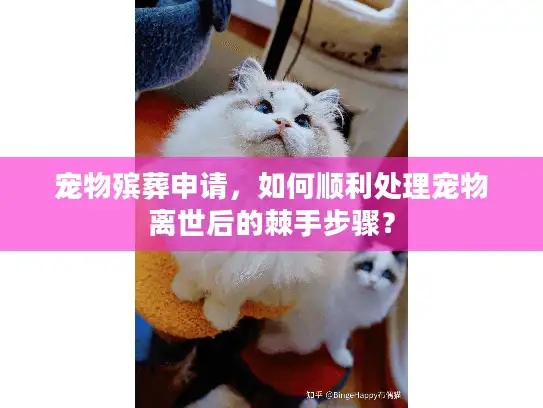 宠物殡葬申请，如何顺利处理宠物离世后的棘手步骤？