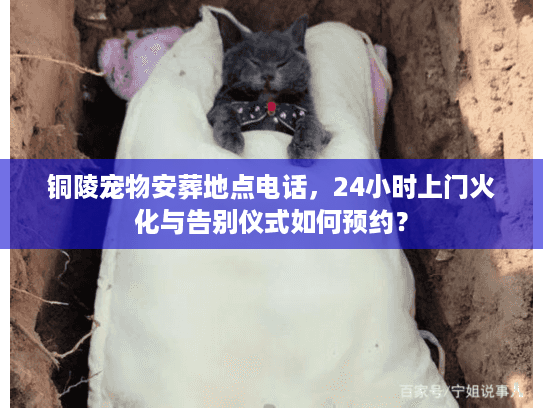 铜陵宠物安葬地点电话,24小时上门火化与告别仪式如何预约? 铜陵宠物安葬地点电话,24小时上门火化与告别仪式如何预约?