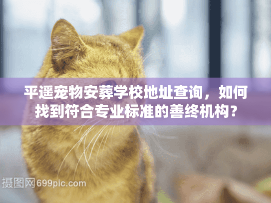 平遥宠物安葬学校地址查询，如何找到符合专业标准的善终机构？