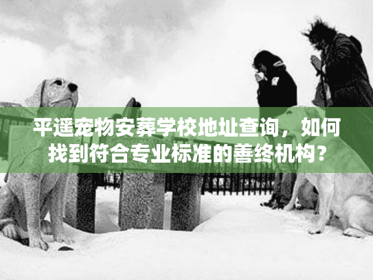 平遥宠物安葬学校地址查询，如何找到符合专业标准的善终机构？