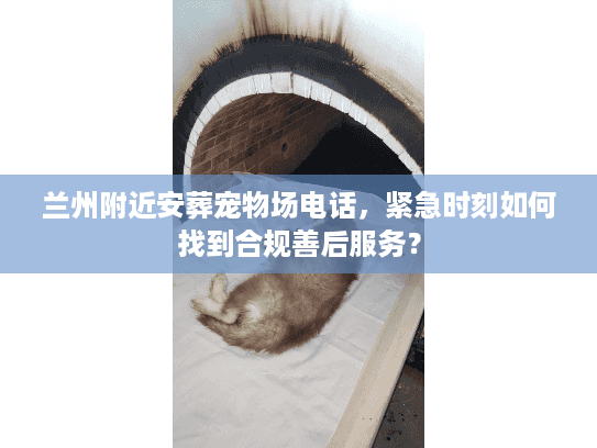 兰州附近安葬宠物场电话，紧急时刻如何找到合规善后服务？