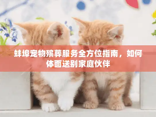 蚌埠宠物殡葬服务全方位指南，如何体面送别家庭伙伴