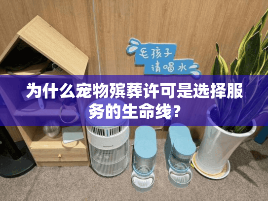 为什么宠物殡葬许可是选择服务的生命线？