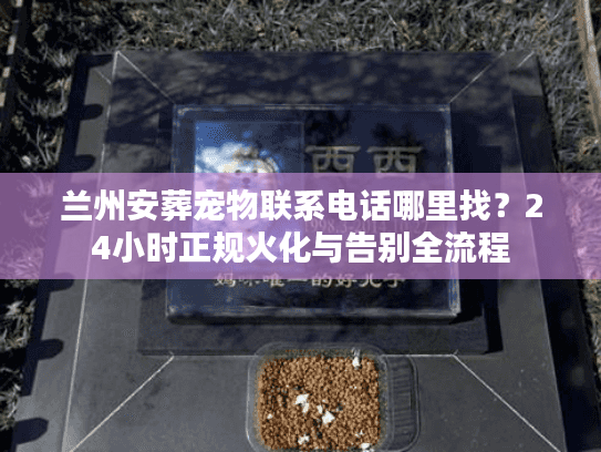 兰州安葬宠物联系电话哪里找？24小时正规火化与告别全流程