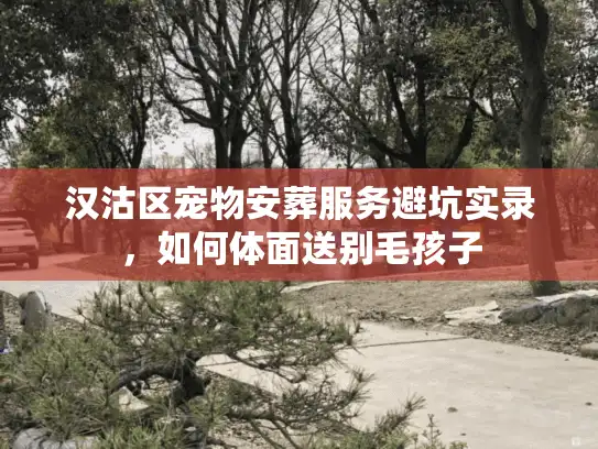 汉沽区宠物安葬服务避坑实录，如何体面送别毛孩子