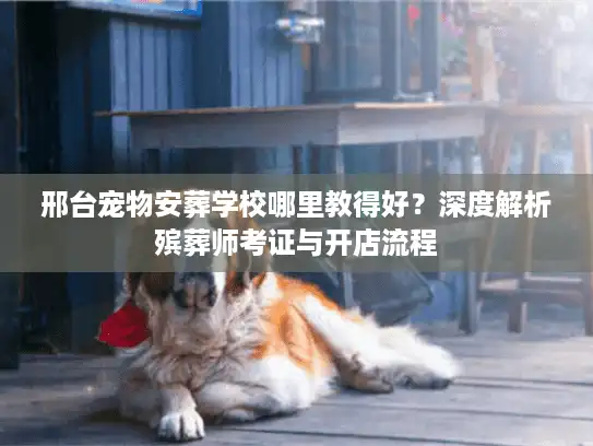邢台宠物安葬学校哪里教得好？深度解析殡葬师考证与开店流程