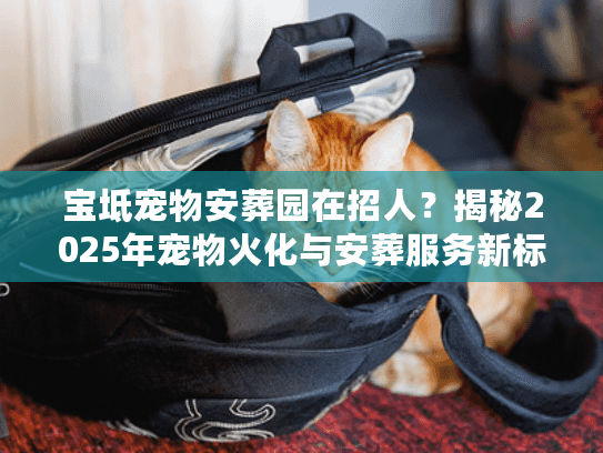 宝坻宠物安葬园在招人？揭秘2025年宠物火化与安葬服务新标准