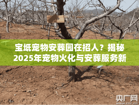 宝坻宠物安葬园在招人？揭秘2025年宠物火化与安葬服务新标准