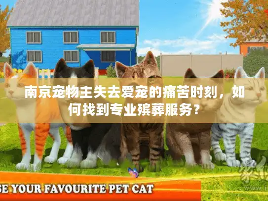 南京宠物主失去爱宠的痛苦时刻，如何找到专业殡葬服务？