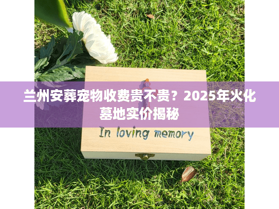 兰州安葬宠物收费贵不贵?2025年火化墓地实价揭秘 兰州安葬宠物收费贵不贵?2025年火化墓地实价揭秘