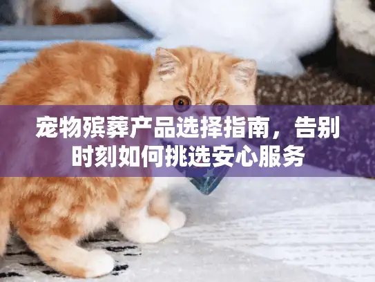 宠物殡葬产品选择指南，告别时刻如何挑选安心服务
