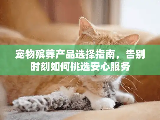 宠物殡葬产品选择指南，告别时刻如何挑选安心服务