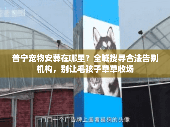 普宁宠物安葬在哪里?全城搜寻合法告别机构,别让毛孩子草草收场 普宁宠物安葬在哪里?全城搜寻合法告别机构,别让毛孩子草草收场