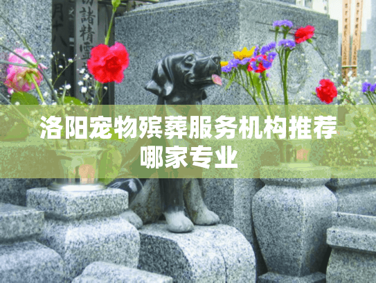 洛阳宠物殡葬服务机构推荐哪家专业