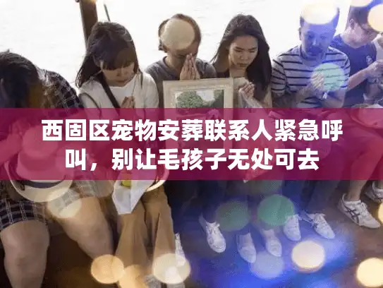 西固区宠物安葬联系人紧急呼叫，别让毛孩子无处可去