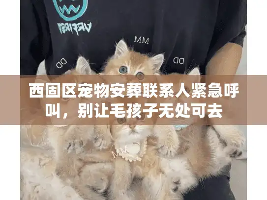 西固区宠物安葬联系人紧急呼叫，别让毛孩子无处可去