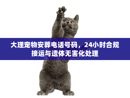 大理宠物安葬电话号码,24小时合规接运与遗体无害化处理 大理宠物安葬电话号码,24小时合规接运与遗体无害化处理