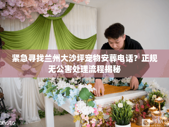 紧急寻找兰州大沙坪宠物安葬电话?正规无公害处理流程揭秘 紧急寻找兰州大沙坪宠物安葬电话?正规无公害处理流程揭秘