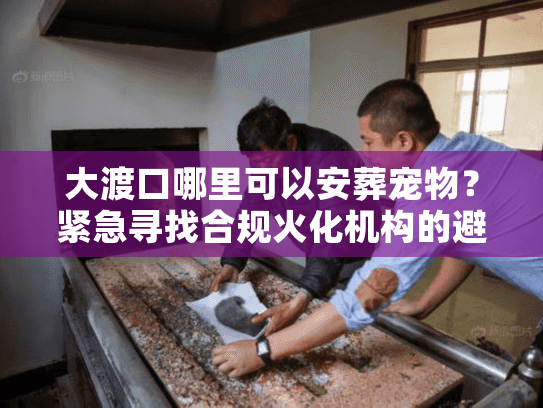 大渡口哪里可以安葬宠物？紧急寻找合规火化机构的避坑实录