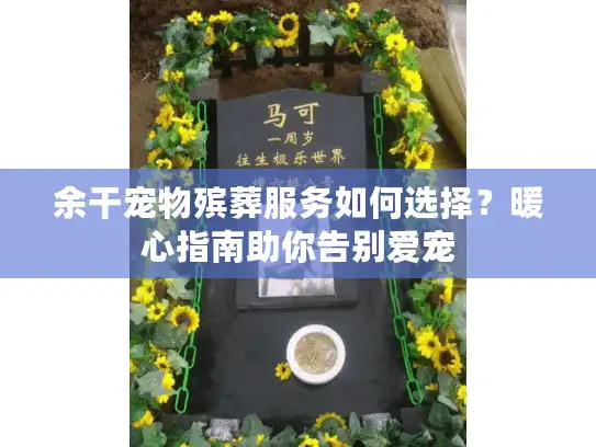 余干宠物殡葬服务如何选择？暖心指南助你告别爱宠