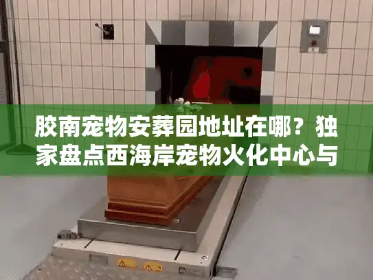 胶南宠物安葬园地址在哪?独家盘点西海岸宠物火化中心与墓地 胶南宠物安葬园地址在哪?独家盘点西海岸宠物火化中心与墓地