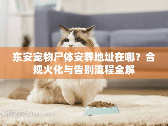 东安宠物尸体安葬地址在哪？合规火化与告别流程全解