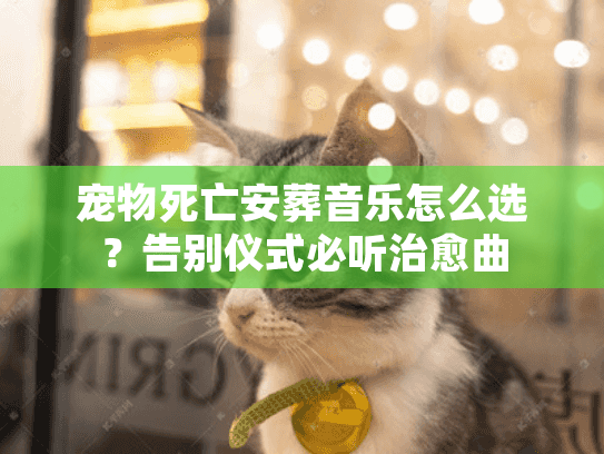 宠物死亡安葬音乐怎么选？告别仪式必听治愈曲