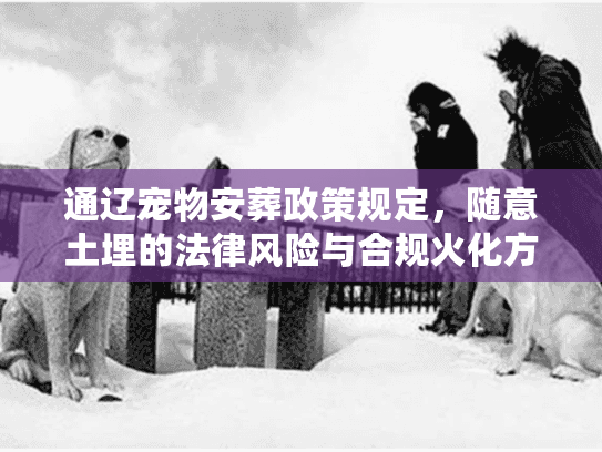 通辽宠物安葬政策规定，随意土埋的法律风险与合规火化方案