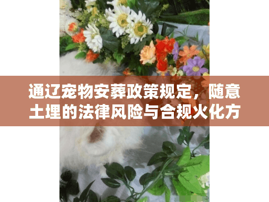 通辽宠物安葬政策规定，随意土埋的法律风险与合规火化方案